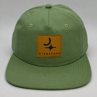 Casquette de baseball personnalisée vert sauge à 5 panneaux, casquette snapback, gorras, coton sergé, patch en cuir, broderie 3D, imprimé animal