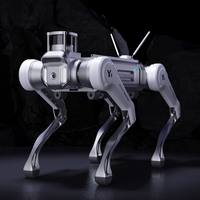 Robot quadrupède Magiclab, analyse complète indépendante, Magicdog de haute qualité