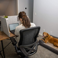 Cloison acoustique réduisant le bruit et les distractions visuelles Absorbant le son Diviseur de bureau à domicile Panneau de confidentialité pour table