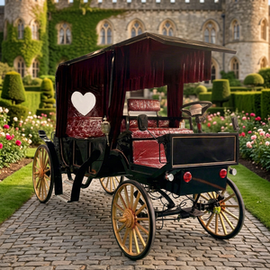 Chariot de princesse Cendrillon électrique pour visites touristiques et transport spécial de mariage - Product Image 1