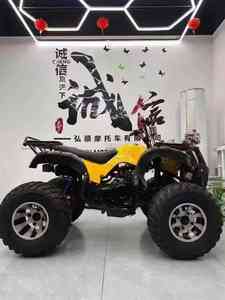 Квадроцикл LNA с увеличенной максимальной скоростью, 250 куб. см, 2WD, автоматическая коробка передач, цепной привод, для взрослых - Product Image 6