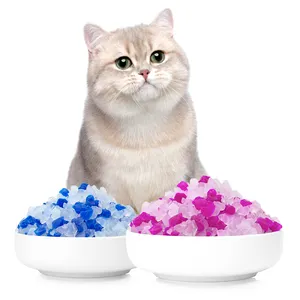 Wholesale Cat Litter Factory OEM BSCI Dust-Free Premium Good Adsorbability Silica Gel Cat Litter