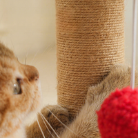 Arbre à chat, tour d'escalade, griffoir en sisal, jouet, poteau à griffer avec éléments interactifs