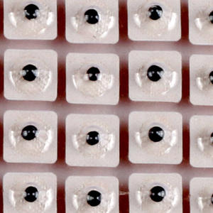 Parche de Acupuntura para Oreja Wang Bu Liu Xing, Medicina Tradicional China, con Perlas Magnéticas, Desechable, para Uso Exterior, Clase I - Product Image 3