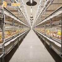 Équipement d'élevage avicole moderne en Indonésie : alimentation, abreuvement et récolte automatiques de type H