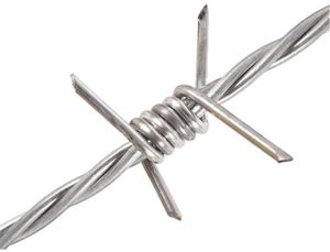 गैल्वेनाइज्ड एंटी-चोरी बाड़ ऑर्चर्ड डबल-स्ट्रैंड एंटी-जंग स्टील तार कांटेदार तार तार बिजली की छाल दीवार - Product Image 5