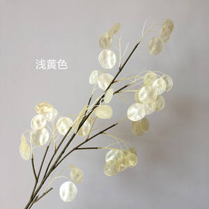 Fleur de coquille de couleur nacrée fleurs en plastique <span class=keywords><strong>Lunaria</strong></span> artificielle <span class=keywords><strong>Annua</strong></span> pour décor de mariage - Product Image 6