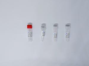 Tinzyme PCR teste kit Febre do Vale do Rift - Product Image 3