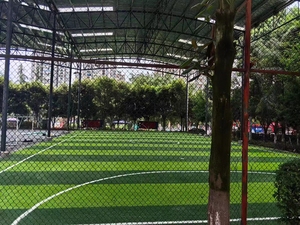 2025 AVG popüler yapay çim 2025 asya oyunları için kullanılan toptan 45mm yapay alan çim için futbol çimi sıcak satış - Product Image 5