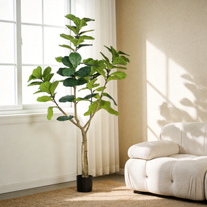 Ficus Lyrata Artificiale 180 cm Realistico in Vaso per Decorazioni Interne - Product Image 4