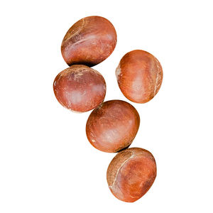 Nuovi dadi di petto freschi in vendita a basso prezzo acquista castagne di cavallo sfuse - Product Image 1