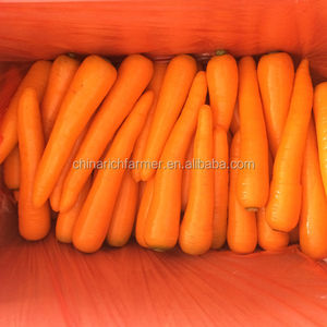 Jahe Segar Seluruh Kotak Jahe Muda Manis Berair Kaya Nutrisi Petani 10Kg/karton Grosir Pabrik Kualitas Tinggi Harga Rendah - Product Image 5