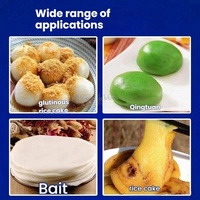 Machine automatique à poinçonner les mochi en acier inoxydable, facile à utiliser, pour la fabrication de gâteaux de riz et de Nian Gao
