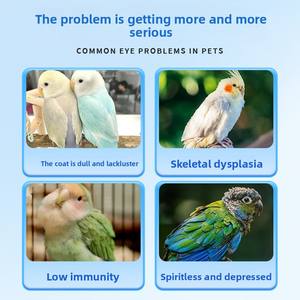 Vitamin Pembiakan Burung untuk <span class=keywords><strong>Cockatiel</strong></span>, Kenari, Budgerigar, dan <span class=keywords><strong>Cockatiel</strong></span>, Suplemen Nutrisi Vitamin untuk Burung - Product Image 5