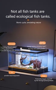 Acquario da Scrivania con Illuminazione, Vasca Ecologica in Plastica Trasparente per Pesci Ornamentali - Product Image 2