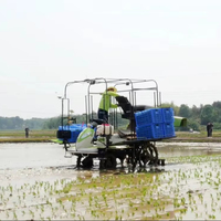 Transplanteur de riz agricole automatique 2ZPY-13D 2ZPY-13D Machine de plantation de riz Moteur Engrenage Transplanteur de riz séquentiel