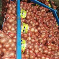 Cebolla Roja y Amarilla Fresca de Nueva Cosecha 2026, Tamaños de 5-8 cm, Bolsa de Malla/Caja de Cartón de 10 kg/20 kg, Precio de Mayoreo Directo de Fábrica