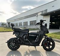 Moteur de moyeu arrière sans balais haute vitesse 1500W, moto électrique EBIKE pour adultes, cadre en acier, batterie au plomb-acide 48V, longue autonomie