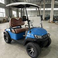 Voiturette de golf électrique 2 places pas chère, batterie lithium, design compact mini, certifiée CE, prix usine OEM ODM, en stock à vendre