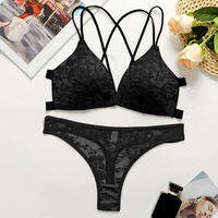 Ensemble Lingerie Sexy OEM/ODM, Soutien-Gorge Push-Up en Dentelle Florale et Culotte, Broderie Maille, avec Sous-Vêtements Beau Dos
