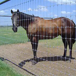 Hochwertige Weide im Pferdes til Feste Knoten Tier weide Pferde farm Fechten