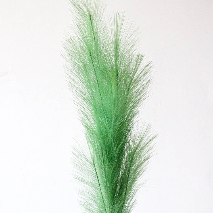 สีเขียว