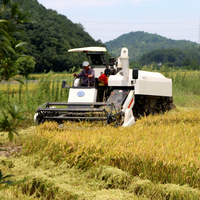 Moissonneuse-batteuse Wishope pour riz et blé au Pakistan – Machine de récolte de céréales
