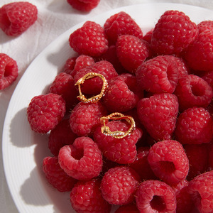 Stainless Steel Rhinestone Hoop Earrings Channel Setting Everyday Wear Women's Jewelry - Product Image 4