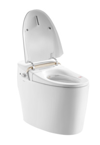 ราคาสุขภัณฑ์อัจฉริยะแบบไร้ถัง Arrow Sanitary Ware, ผู้ผลิตสุขภัณฑ์, โถสุขภัณฑ์ทรงกลม - Product Image 4