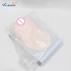 Modelo de Silicona Médica para Entrenamiento de <span class=keywords><strong>Lactancia</strong></span> <span class=keywords><strong>y</strong></span> Forma de Senos Durante la <span class=keywords><strong>Lactancia</strong></span> - Product Image 3