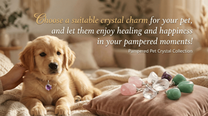 Amuleto de Cristal Natural para Mascotas, Piedra de Protección, Colgante para Collar de Perro, Amatista, Cuarzo Rosa, Etiqueta de Energía Curativa para Cachorros - Product Image 3