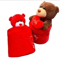Ours en peluche Saint-Valentin avec boîte - Nouveau design en polyester avec accessoires