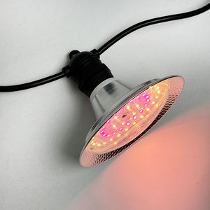 Pitaya/Dragon Fruit Croissance Lumière Spectre Complet E27 15W Étanche <span class=keywords><strong>À</strong></span> La Pluie Résistant Au <span class=keywords><strong>Soleil</strong></span> UFO LED <span class=keywords><strong>Plante</strong></span> Cultiver Ampoule Serre/Utilisation Extérieure - Product Image 3