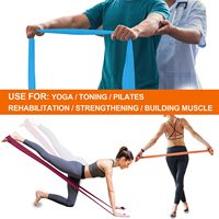 Bandas Elásticas de Ejercicio Profesionales Personalizadas al por Mayor, Largas, Sin Látex, para Fisioterapia, Yoga y Pilates