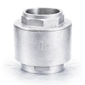 SUS304 Stainless Steel Check Valve 3" BSP Threaded Spring Backflow Preventer - Product Image 1