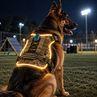 Harnais pour chien Qcool Medium Dog LED lumineux, alimenté par batterie, haute visibilité, sangle en nylon, anneau en D en métal, logo personnalisé, promenade nocturne