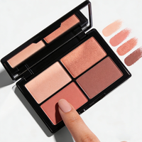 Palette de poudre de fard à joues minéral longue durée à étiquette privée OEM/ODM avec des finitions mates et scintillantes - Faible MOQ Maquillage