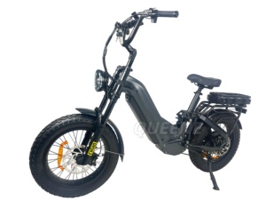 Bicicleta Eléctrica de Nieve con Doble Suspensión y Baterías Dobles de Gran Capacidad 60V/72V 35AH - Product Image 4