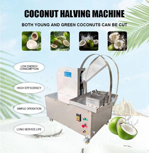 Máquina Eléctrica Segura para Cortar Coco en Dos Mitades, de Acero Inoxidable, para el Mercado del Sudeste Asiático - Product Image 4