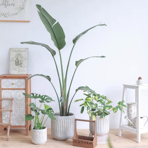 Jardinière <span class=keywords><strong>en</strong></span> ciment cylindrique décorative pour sol de maison bon marché décoration de jardin personnalisée pots de fleurs <span class=keywords><strong>en</strong></span> <span class=keywords><strong>béton</strong></span> d'intérieur - Product Image 3