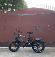 Vélo électrique tout-terrain OEM 20 pouces avec batterie lithium-ion 48V10Ah, moteur puissant 250W500D et pneus larges 4.0