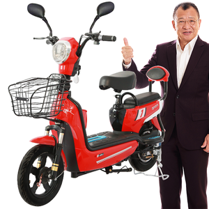 Vélo électrique de ville à <span class=keywords><strong>2</strong></span> roues 350W 48V, scooter électrique, vélo électrique avec pédales - Product Image 6