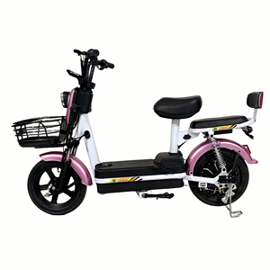 Vélo électrique <span class=keywords><strong>de</strong></span> Shandong pour adultes, 3 vitesses, <span class=keywords><strong>frein</strong></span> à <span class=keywords><strong>tambour</strong></span>, batterie au plomb-acide avec pédales, autonomie <span class=keywords><strong>de</strong></span> 50 km - Product Image 4