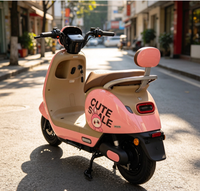 Véhicules électriques à deux roues pour loisirs en plein air, avec une structure renforcée et une capacité de charge élevée, adaptés aux adultes