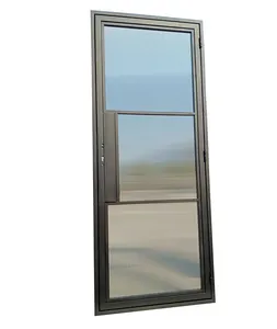 लोकप्रिय कैचमेंट दरवाजा स्टील ग्लास सिंगल/डबल पत्ती स्विंग दरवाजा हिंग के साथ