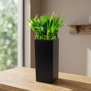 Jarrón Cuadrado Negro Moderno, Maceta Decorativa, Elegante Soporte para Plantas de Escritorio, Centro de Mesa Contemporáneo y Elegante - Product Image 1