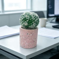 Pot de plante en béton écologique style ferme Terrazzo rose, mini jardinière pour cactus et succulentes, petit récipient d'intérieur pour bureau