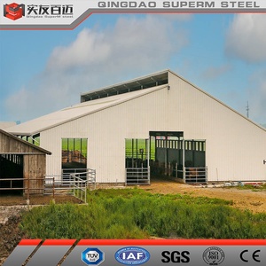 Bâtiment à structure en acier <span class=keywords><strong>Boeuf</strong></span> Veau Vache Étable laitière Maison préfabriquée Hangar de <span class=keywords><strong>grange</strong></span> - Product Image 2