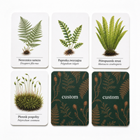 Cartes d'apprentissage personnalisées sur le thème de la forêt, de la fougère et du mousse, écologiques, durables, en papier couché 300 g/m², avec pelliculage mat, dans une boîte cadeau rigide pour les écoles