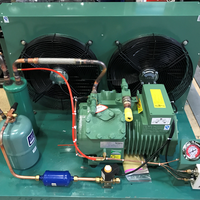 Compresseur hermétique R404a 2 CV, unités de condensation frigorifiques pour vitrine de supermarché, moteur Copeland R410A, pompe à engrenages